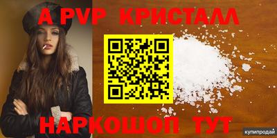 крисы Кунгур