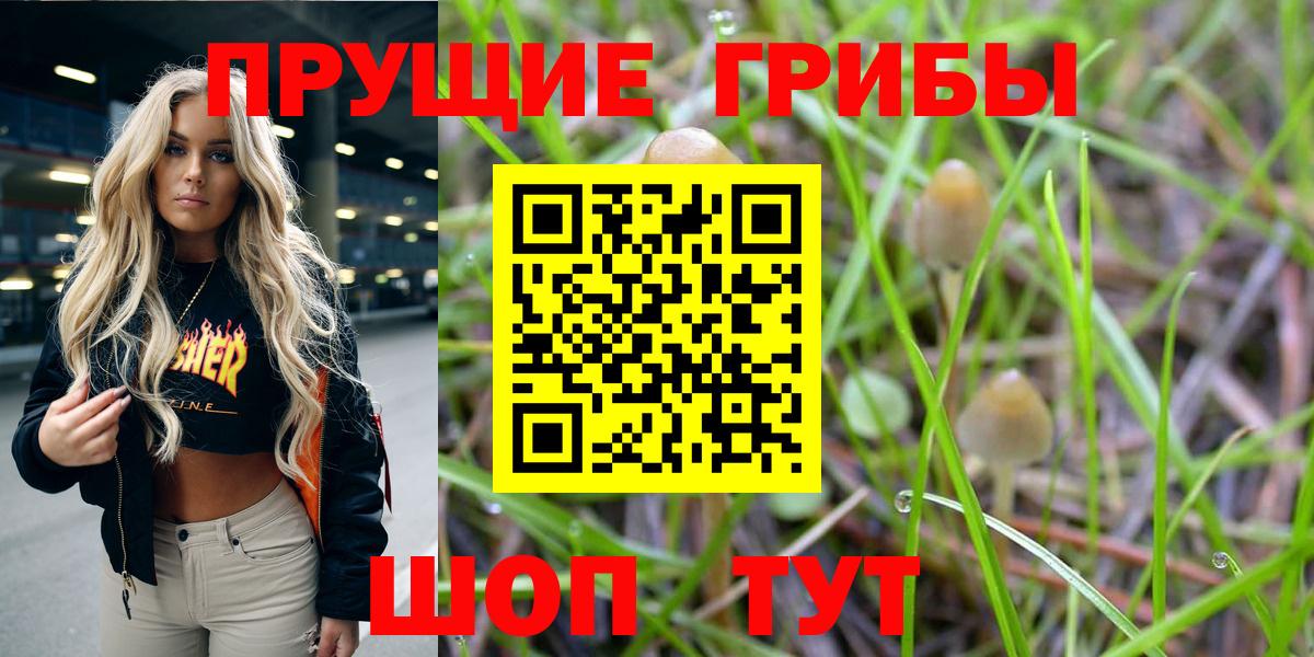 Галлюциногенные грибы Psilocybine cubensis  Вход с VPN  Туймазы 