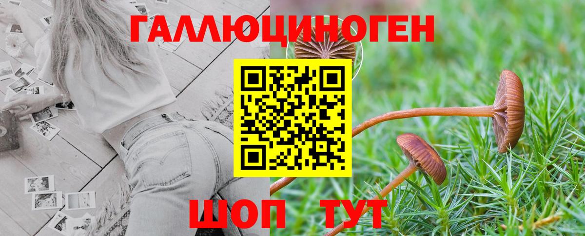Псилоцибиновые грибы мухоморы Туймазы